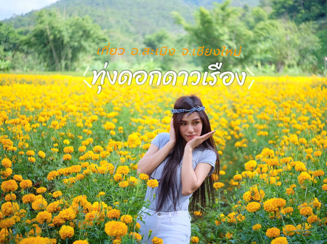 ทุ่งดอกดาวเรือง อ.สะเมิง จ.เชียงใหม่