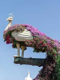 Dubai Miracle Garden