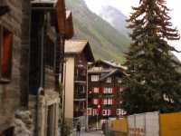 A Peaceful Escape: Animals, Flowers, and the Magic of Zermatt Village