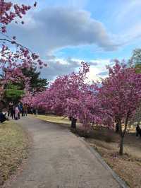 강력추천하는 4월의 경주여행코스🌸