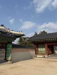 경복궁 어디부터 어떻게 돌아야하나요?!