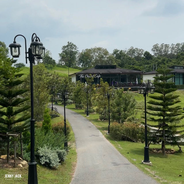 #คาเฟ่เขาไม้แก้ว #วิวภูเขา #มีม้าหมุนฟรี 🎠🌷