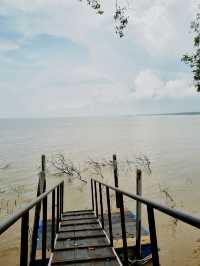 Taman Tanjung Ketapang: Where Mangrove Boardwalks & Monkey Drama Collide🌿🐒