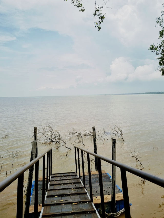 Taman Tanjung Ketapang: Where Mangrove Boardwalks & Monkey Drama Collide🌿🐒