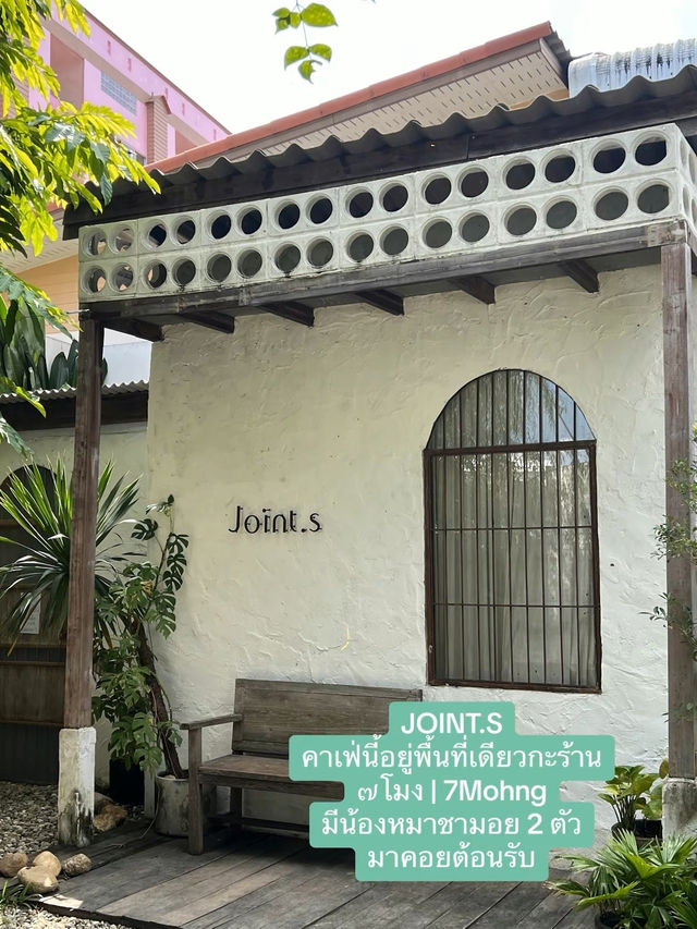 มัดรวมคาเฟ่เชียงใหม่ 