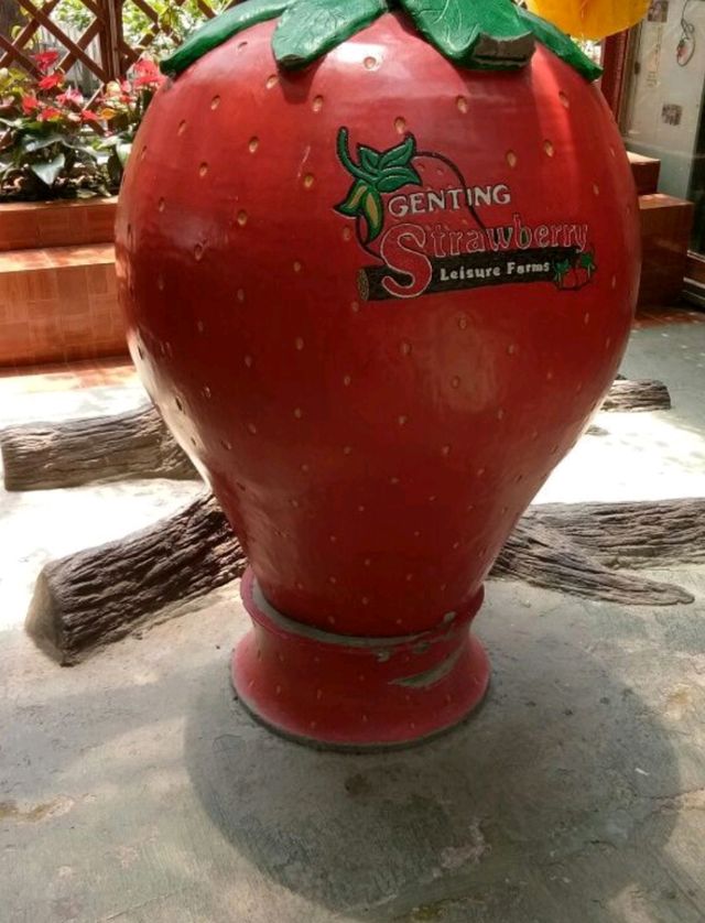 🍓 A Sweet Retreat at Genting Strawberry Leisure Farm!