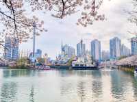 Seokchon Lake Cherry Blossoms: Seoul’s Hidden Pink Oasis