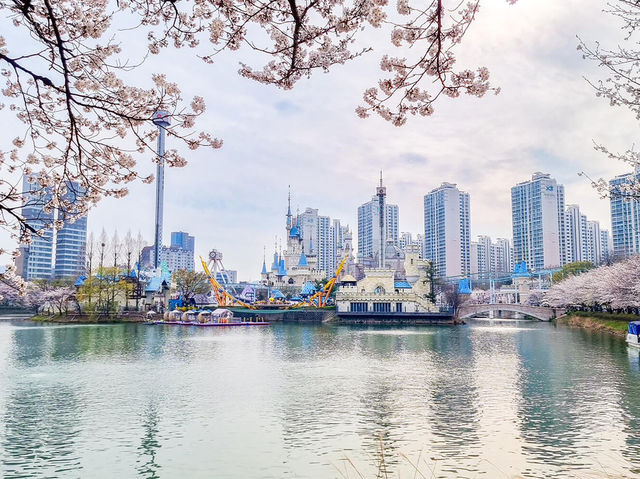 Seokchon Lake Cherry Blossoms: Seoul’s Hidden Pink Oasis