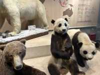 ชวนเที่ยว Shanghai natural history museum
