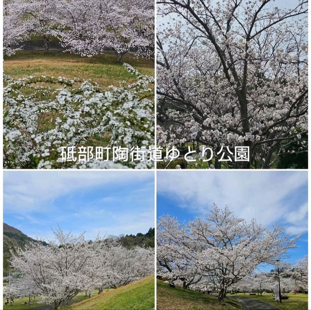 地元民愛する憩いの場が春には桜満開スポットに