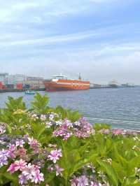 【東京×台場】海と紫陽花、船のコラボ写真が撮れるスポット