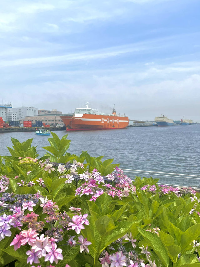 【東京×台場】海と紫陽花、船のコラボ写真が撮れるスポット