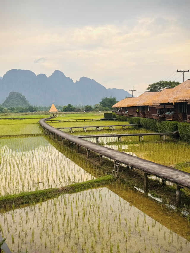  Best restaurant with a View in Vang Vieng!