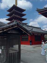 “Sensoji in Bloom: Tokyo’s Timeless Temple Amid Cherry Blossoms”