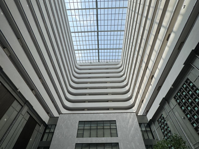 Chongqing: A Vertical Dream Draped in Mist, Stone and Fire