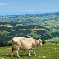 Swiss Fairytale Escape: Hiking, History & Heavenly Views in Schwende-Rüte