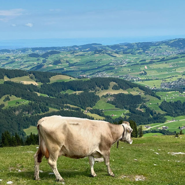 Swiss Fairytale Escape: Hiking, History & Heavenly Views in Schwende-Rüte
