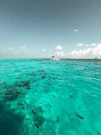 Fell in love with Maldives 🇲🇻
