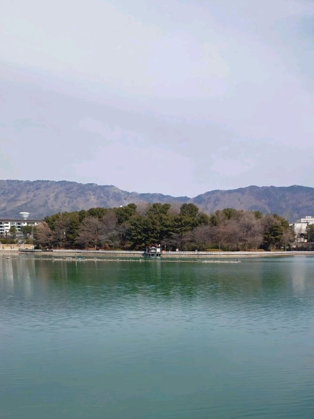 도심 한가운데 고요한 쉼이 흐르는 곳🌿