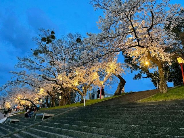 A Hidden Gem for a Peaceful Stroll in Okazaki City Minami Park