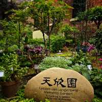 香港醫學博物館 (Hong Kong Museum of Medical Sciences)