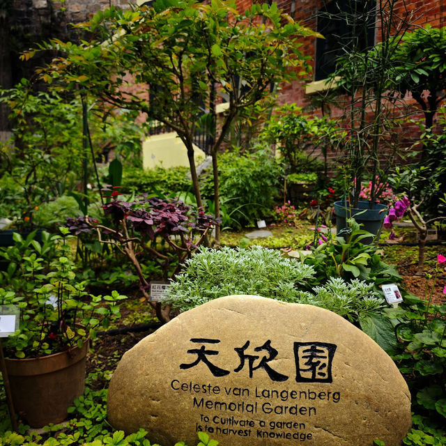 香港醫學博物館 (Hong Kong Museum of Medical Sciences)