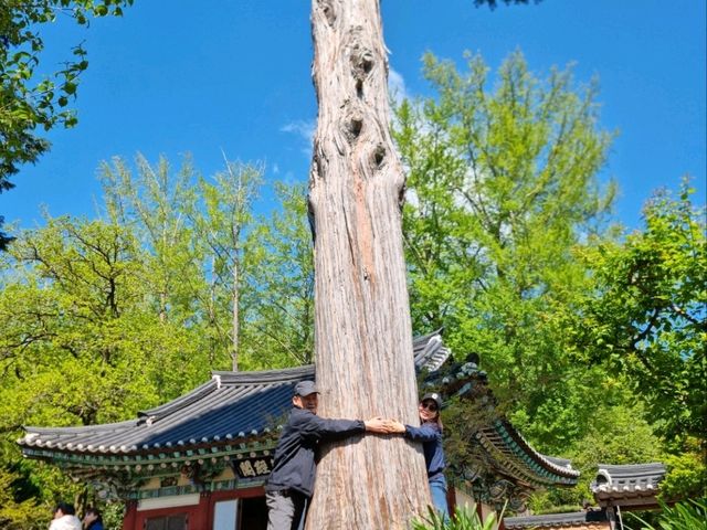 우주발사