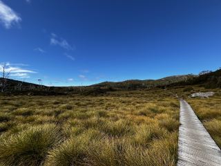 Family friendly Enchanted Walk and Wombats sightings 