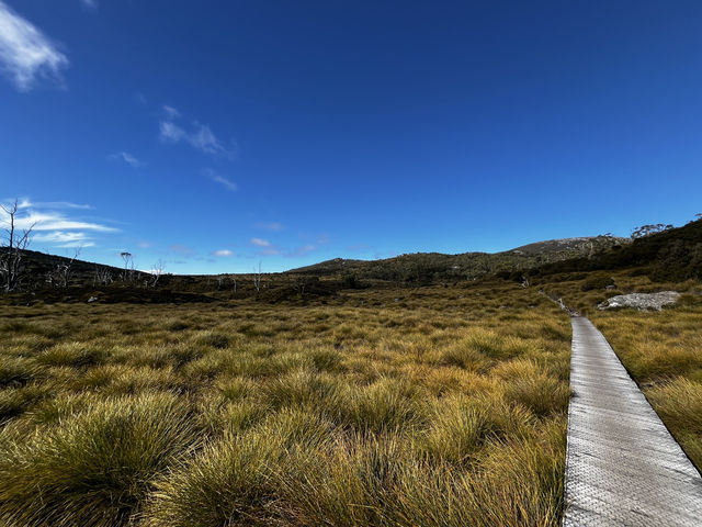 Family friendly Enchanted Walk and Wombats sightings 