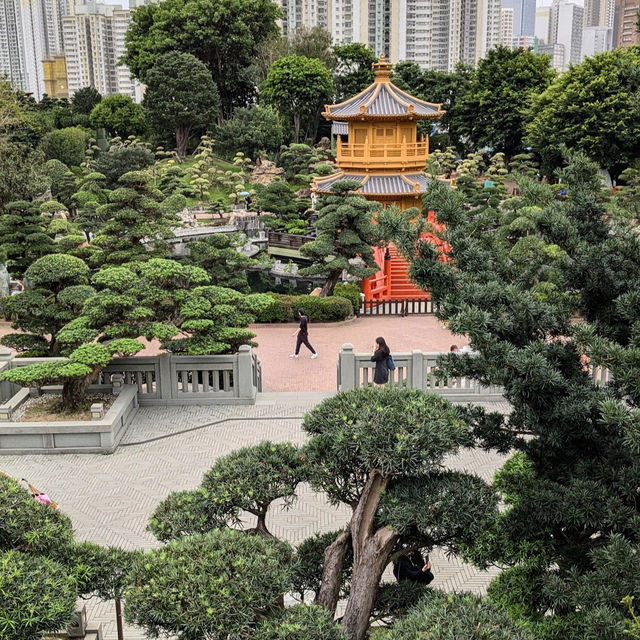 志蓮淨苑及南蓮園池 (Chi Lin Nunnery and Nan Lian Garden) - 寧靜的節慶文化體驗 (Tranquil Festive Cultural Experience)