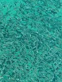 เกาะหมาก (Koh Mak) ความเงียบสงบและสโลว์ไลฟ์