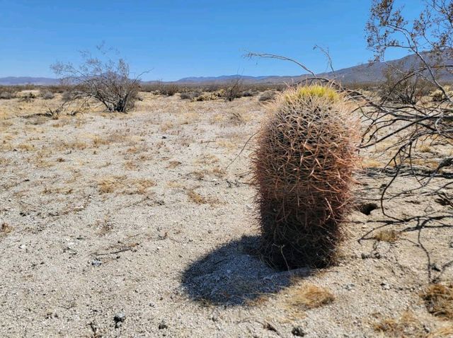 Anza-Borrego Desert State Park – CA