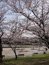 Hamadera Park