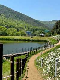 Discovering Daegu: A Perfect Blend of Tradition and Modernity