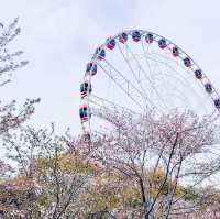 Turning through spring 