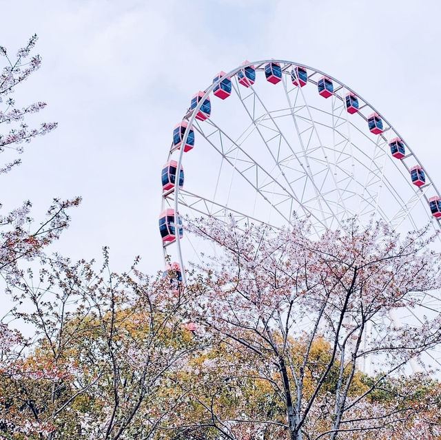 Turning through spring 