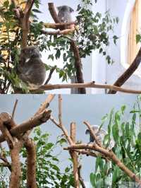 Exploring Taipei Zoo: Tips for a Great Visit