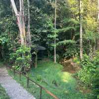 Kubah National Park