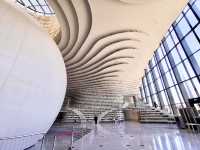 Inside the Eye of Wisdom: An Evening at Tianjin Binhai Library
