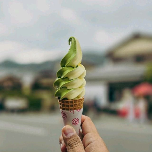 japan trip