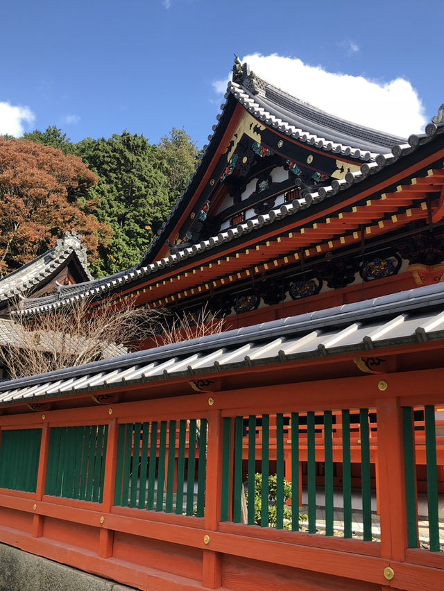 🍁【京都・毘沙門堂】心を奪われる絶景紅葉スポット🍁