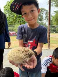 A Fun Day at ARBA Equine Archery Park – Horses, Archery & Petting Zoo!