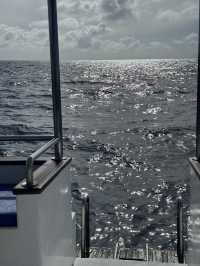 🏝️🤿Super invincible and beautiful Maldives (all-inclusive!)