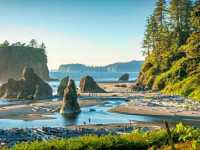 Exploring the Enchanted Forest: Hiking the Hoh Rain Forest Trail