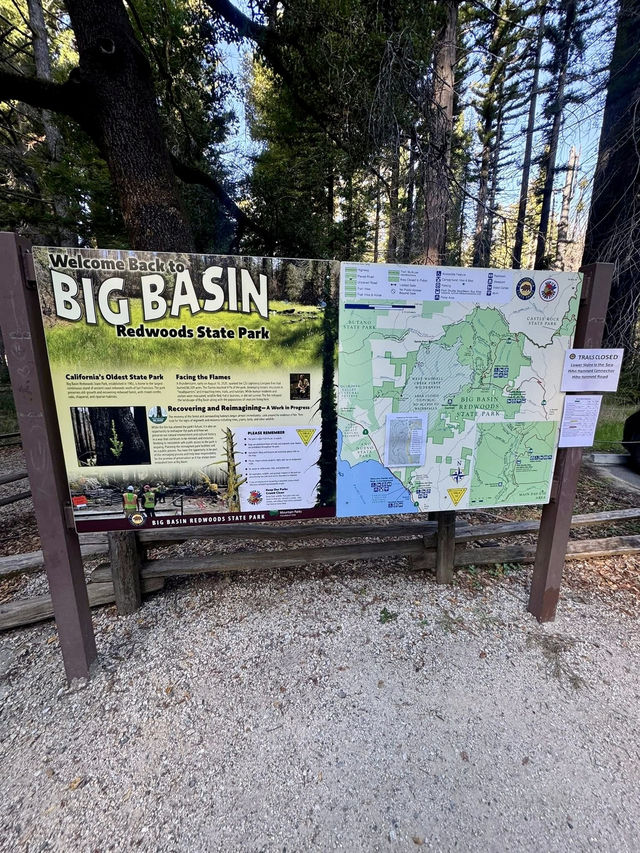 A Walk Through California’s Oldest State Park