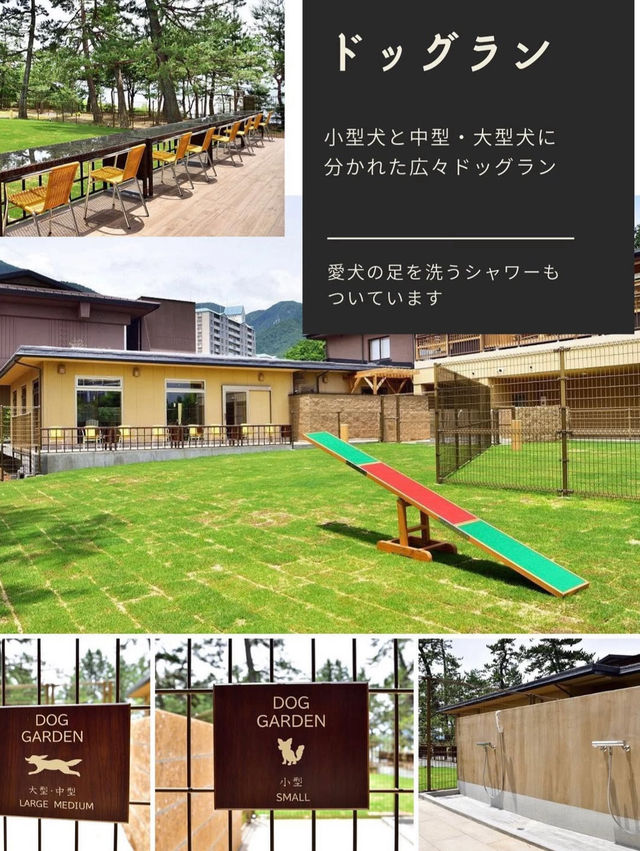 予約困難❕ペットと泊まれる人気の温泉宿🐕‍🦺