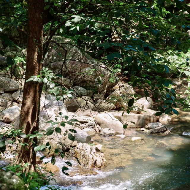 ~美麗綠野～南山風景區~  