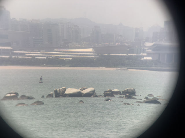 粽香隨海風，節令入村落——端午漫遊湖井頭