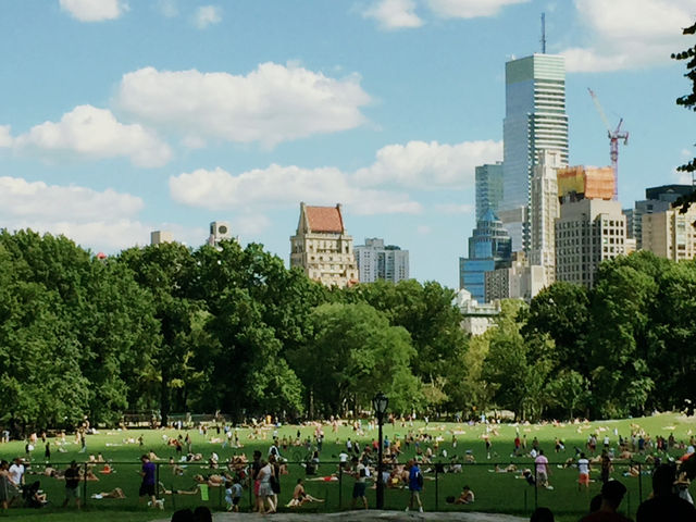 Central Park: NYC’s Urban Oasis