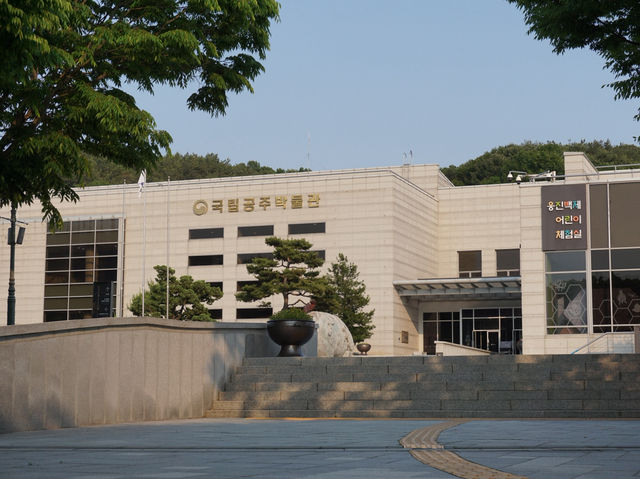 공주 데이트코스, 예술과 역사가 공존하는 국립공주박물관🏛️